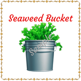 DFS Texture - Seaweed Bucket