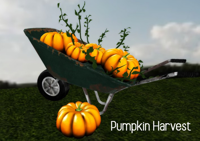 [AE] Home & Garden - Pumpkin Harvest