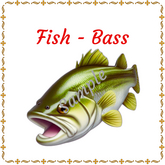 DFS Texture - Fish - Bass