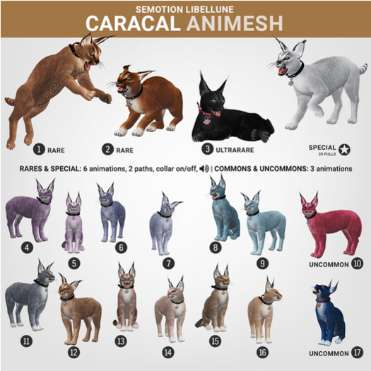 SEmotion Libellune Caracal Animesh #1 RARE