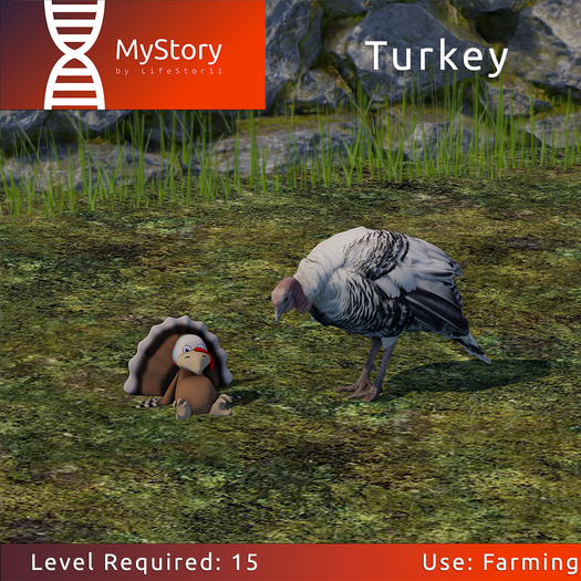 MyStory Turkey Kids