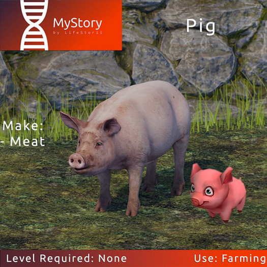 MyStory Pig