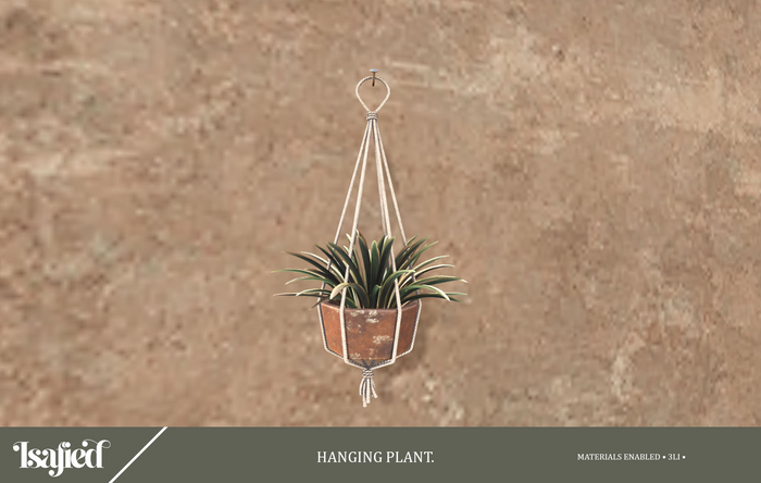 {Isafied}Hanging Plant
