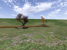 Autumn Scene with Trees