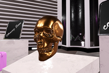 BOX -D.N. Skull - Skull Tip Jar PBR