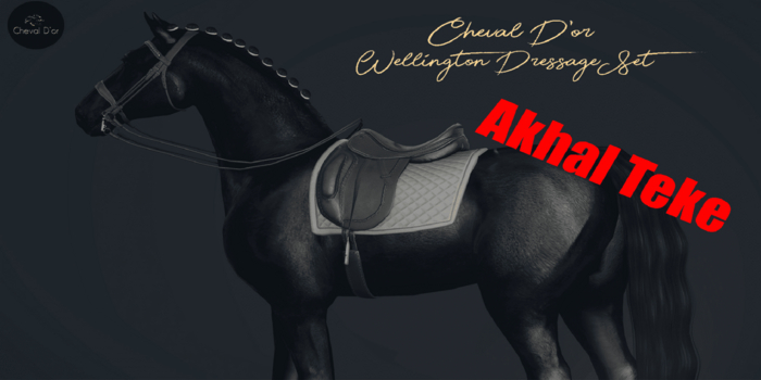 Second Life Marketplace - Cheval D'or / TeeglePet Akhal / Wellington ...