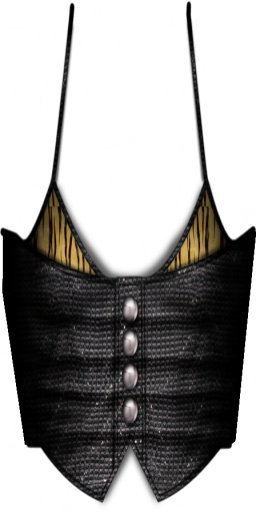 ***Seduction*** Leopard Top Tigre