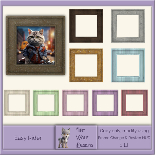 Easy Rider framed picture