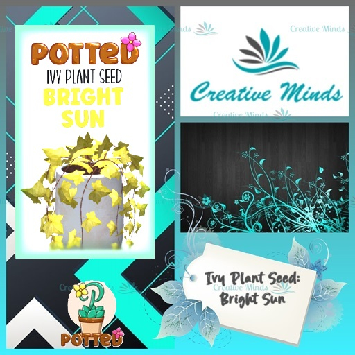 Potted: Ivy Plant Seed: Bright Sun