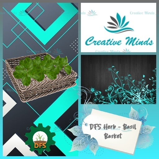 DFS Herb - Basil Basket (Actual Item)