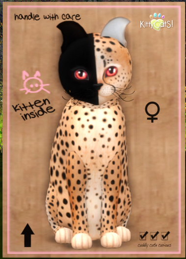 KittyCatS Box - Chimera - Spotted Flame T7 fmWBV RaDa/SwankyLit