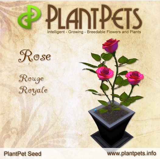 PlantPet Seed [Rose *Rouge Royale*]