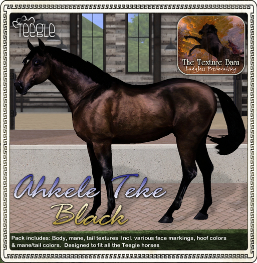 Texture Barn: Ahkele Teke Black for Teegle Horses & Pets
