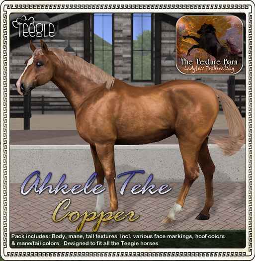 Texture Barn: Ahkele Teke Copper for Teegle Horses & Pets
