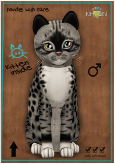 KittyCatS Box - Genesis - Bandit II - Sunflower -  Female