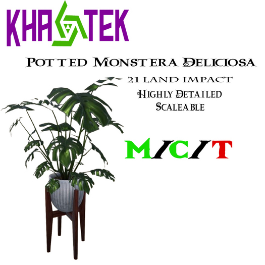 Khaotek Monstera Deliciosa