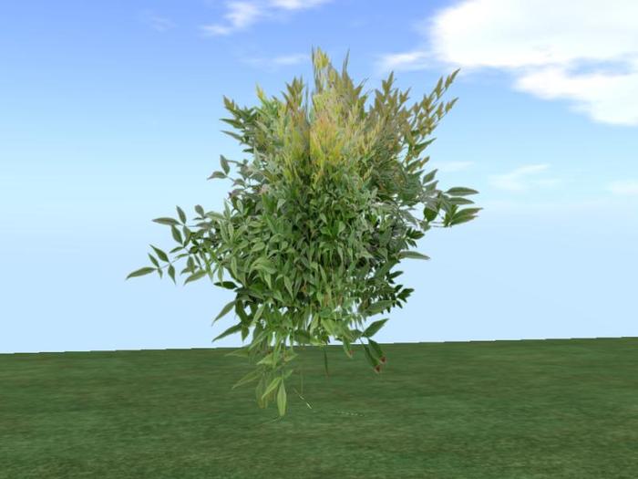 Arkads 1 Prim Heavenly Bamboo v2