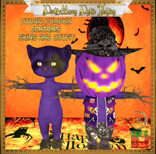 *DM*  Pumpkin Hybrid Purple