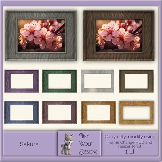Sakura framed picture