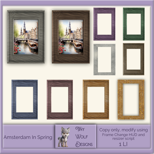 Amsterdam In Spring framed picture