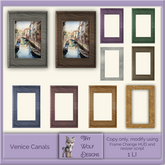 Venice Canals framed picture