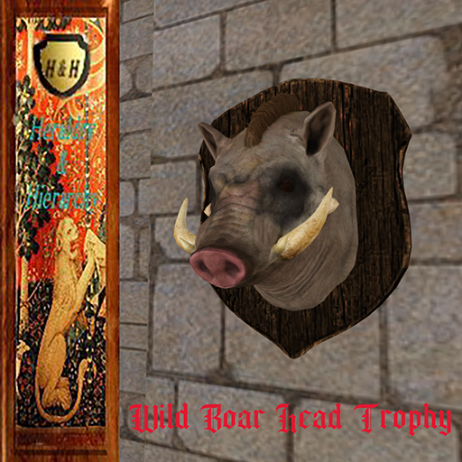 Wild Boar Head Trophy