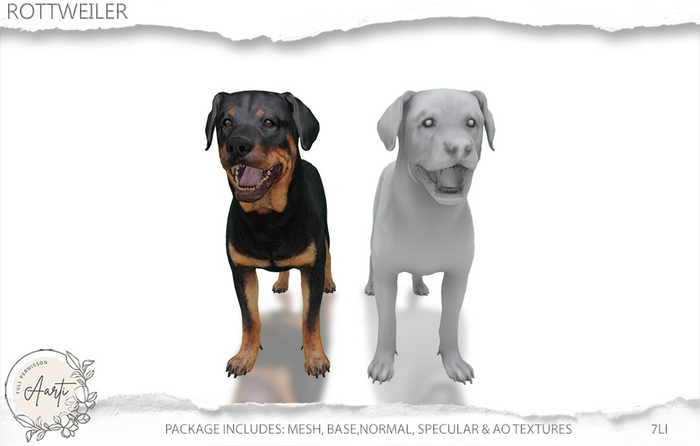 [A]arti FP: Rottweiler