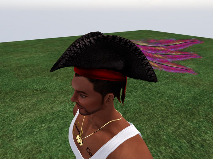 TM Pirate Hat with Rainbow Feathers