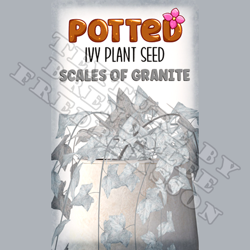 Potted: Ivy Plant Seed: Scales of Granite (ACTUAL PLANT SEED)