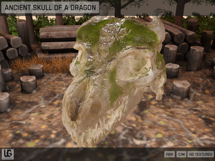 [UG] : Ancient Skull of a Dragon (PBR)