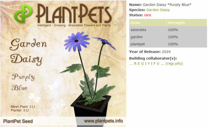 PlantPet Seed [Garden Daisy *Purply Blue*]