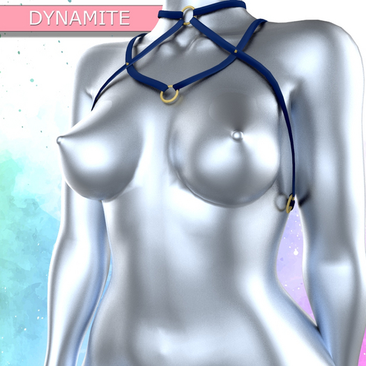 Navy LaraX Top Harness