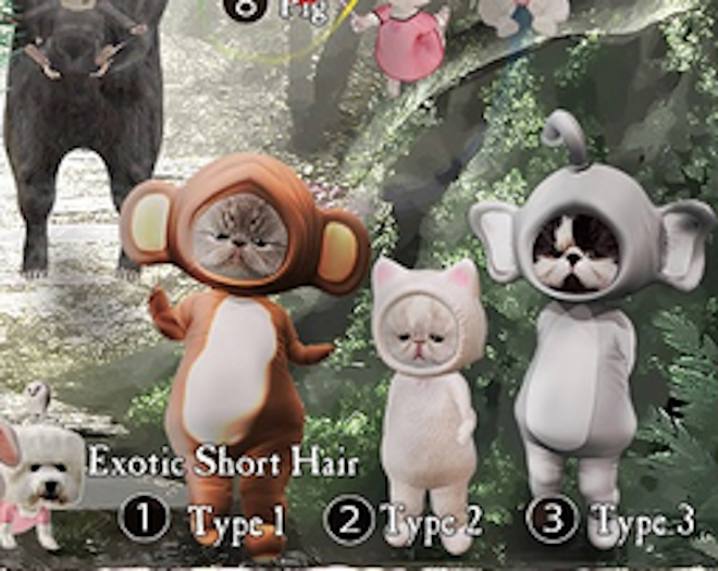 3. Mikunch Animal Costume Mini / Exotic Short Hair 3