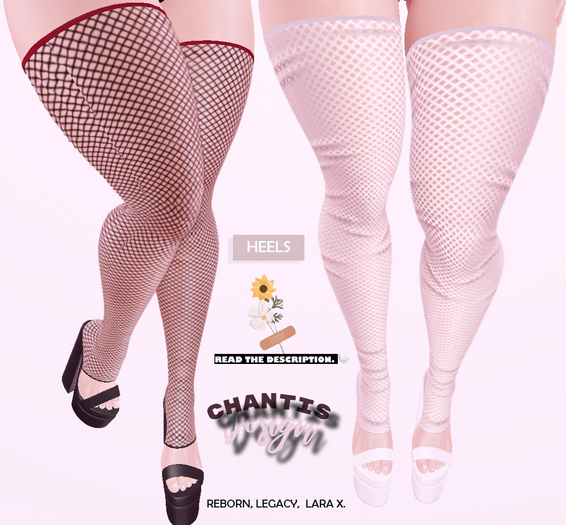 :: Festina Heels  :: 