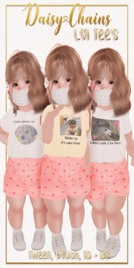 { Daisy Chains } Lol Tees - I'm Gay