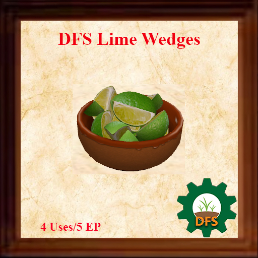 DFS Lime Wedges - ACTUAL ITEM