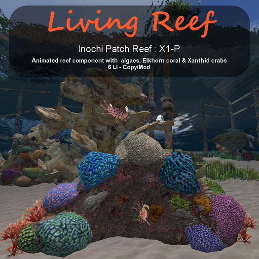 Inochi Reef - Patch Reef X1-P