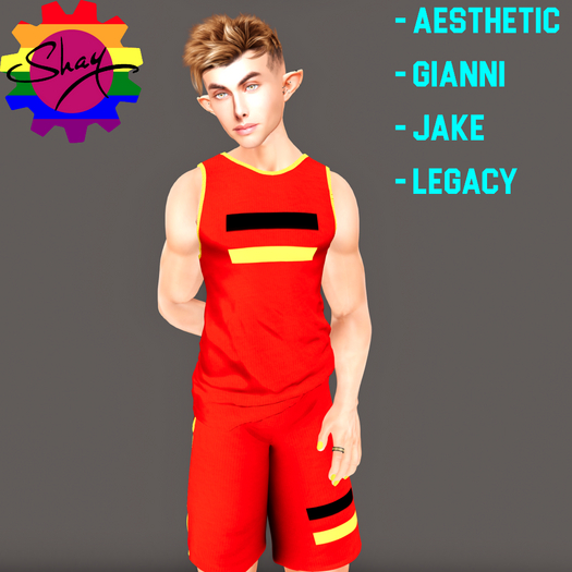 German Flag Tank & Shorts