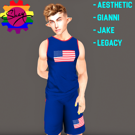 US Flag Tank & Shorts