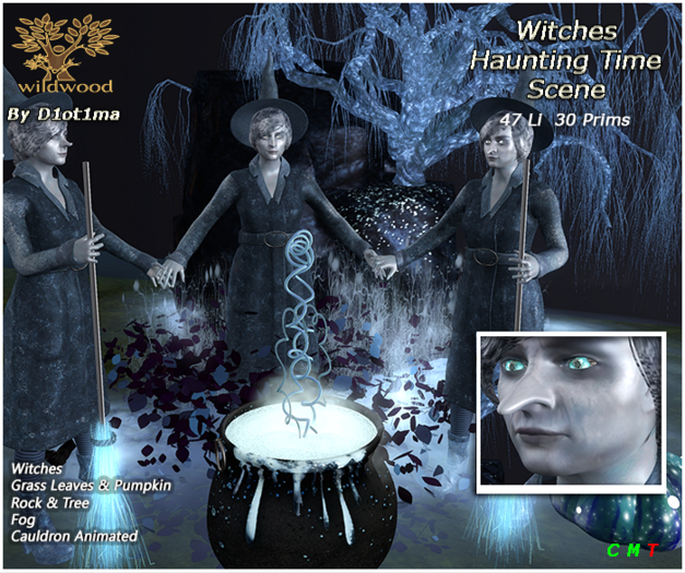 ✅[WildWood] Witches Haunting Time Scene