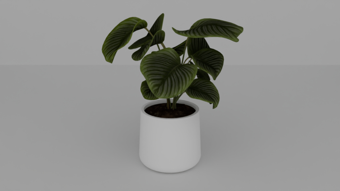 Bersav. Chao Monstera (Add)