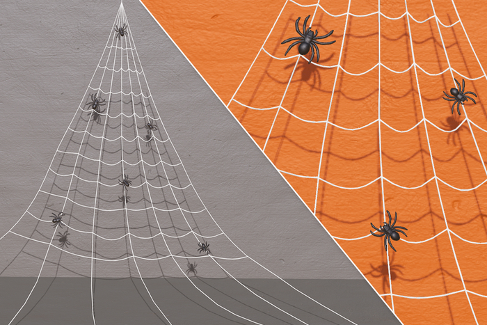 Curved Spiderweb Decor