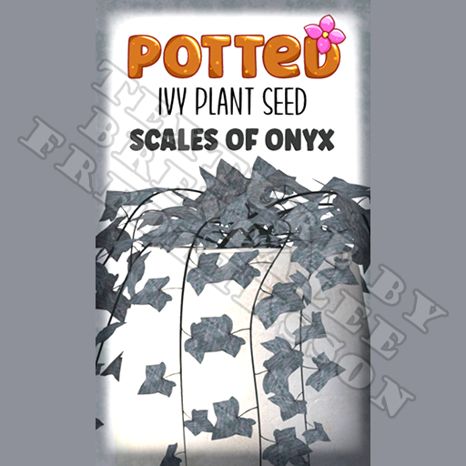 Potted: Ivy Plant Seed: Scales of Onyx (ACTUAL PLANT SEED)