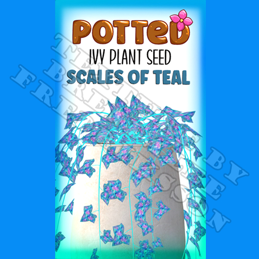 Potted: Ivy Plant Seed: Scales of Teal (ACTUAL PLANT SEED)