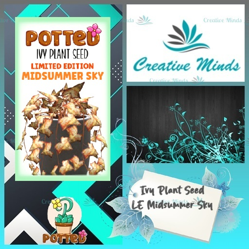 Potted: Ivy Plant Seed: LE Midsummer Sky
