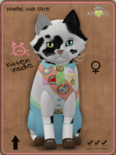 KittyCatS Box - HaPPy CampeR! Toy