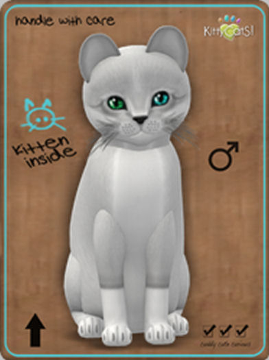 KittyCatS Box - Foxie - Snow
