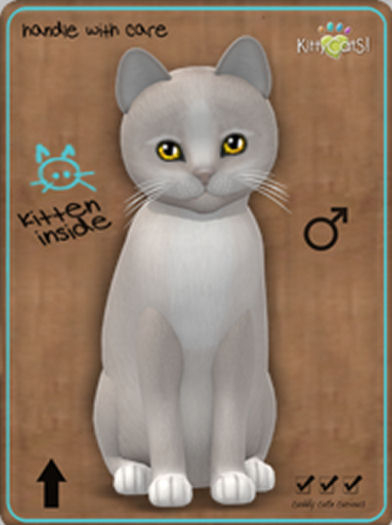 KittyCatS Box - Genesis - Pearl II  "Bigger de Big"