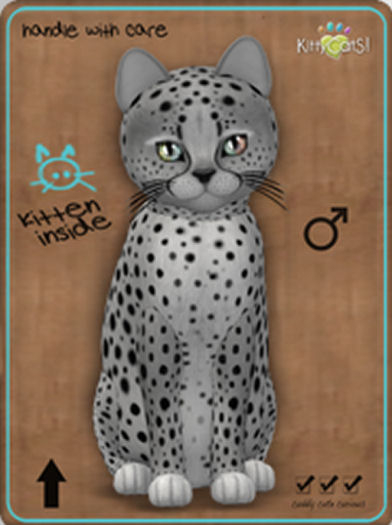 KittyCatS Box - Cheetah! - Silver