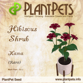 PlantPet Seed [Hibiscus Shrub *Kama*]